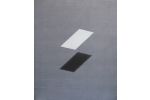Jeroen  Henneman - Complementary forms II 120x100