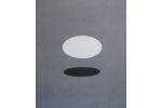 Jeroen  Henneman - Complementary forms IX ovalen