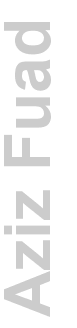 Aziz+Fuad