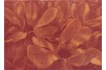Jacomijn den Engelsen - Magnolia rood papier