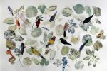 Marjan  Jaspers - 